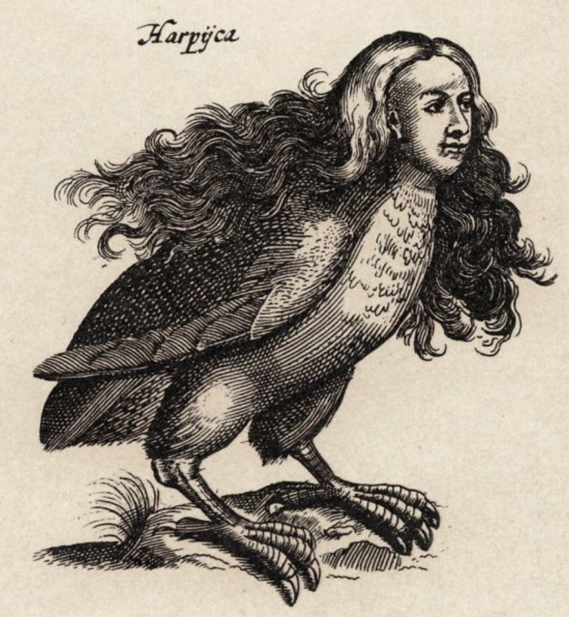 Harpy.jpg