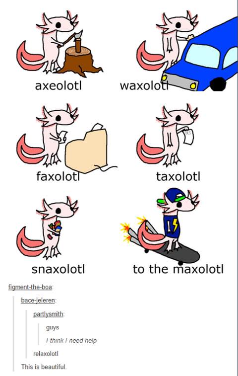 maxolotl.jpg
