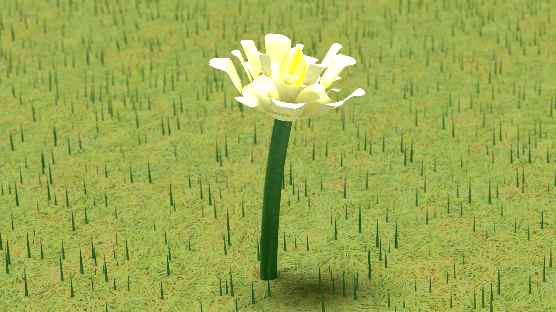 Nature---Flower-compressor.png