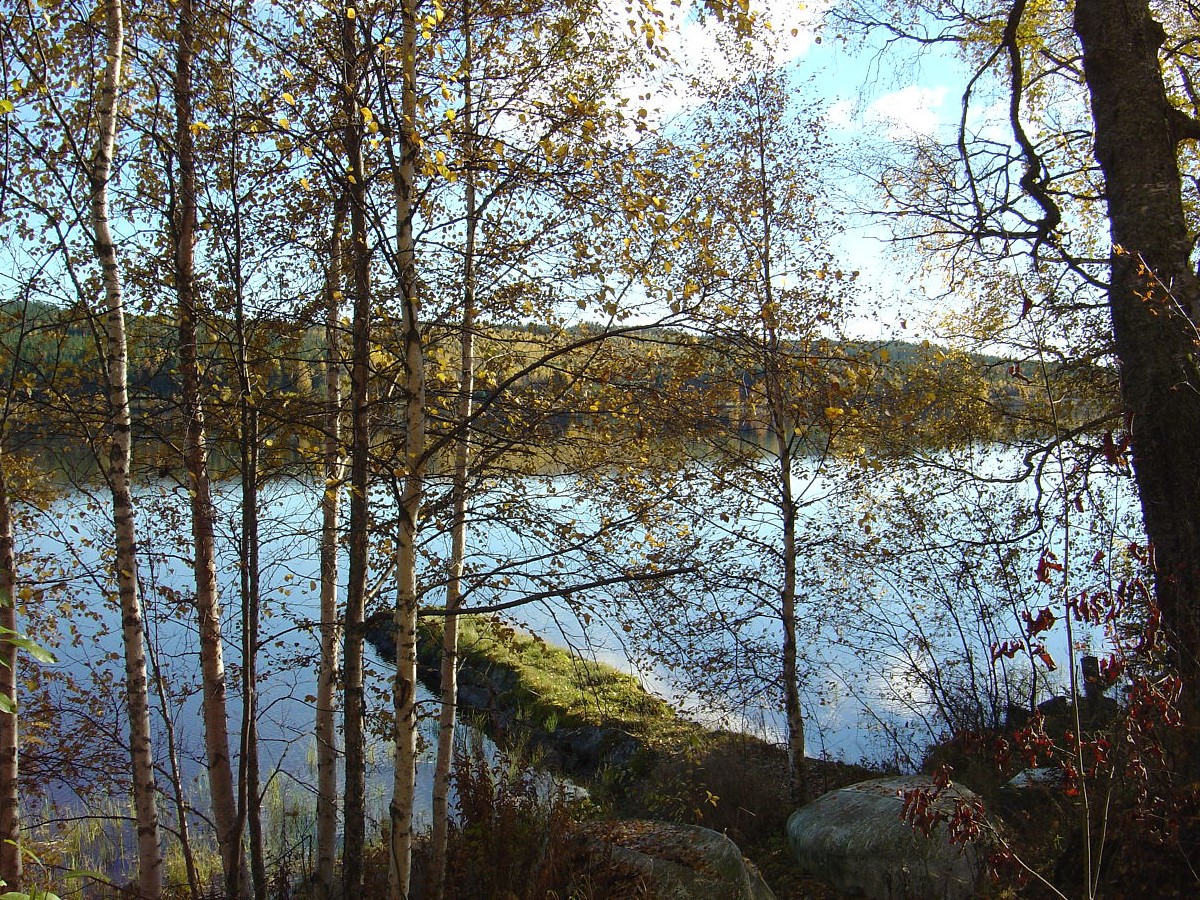 port Rackham.jpg