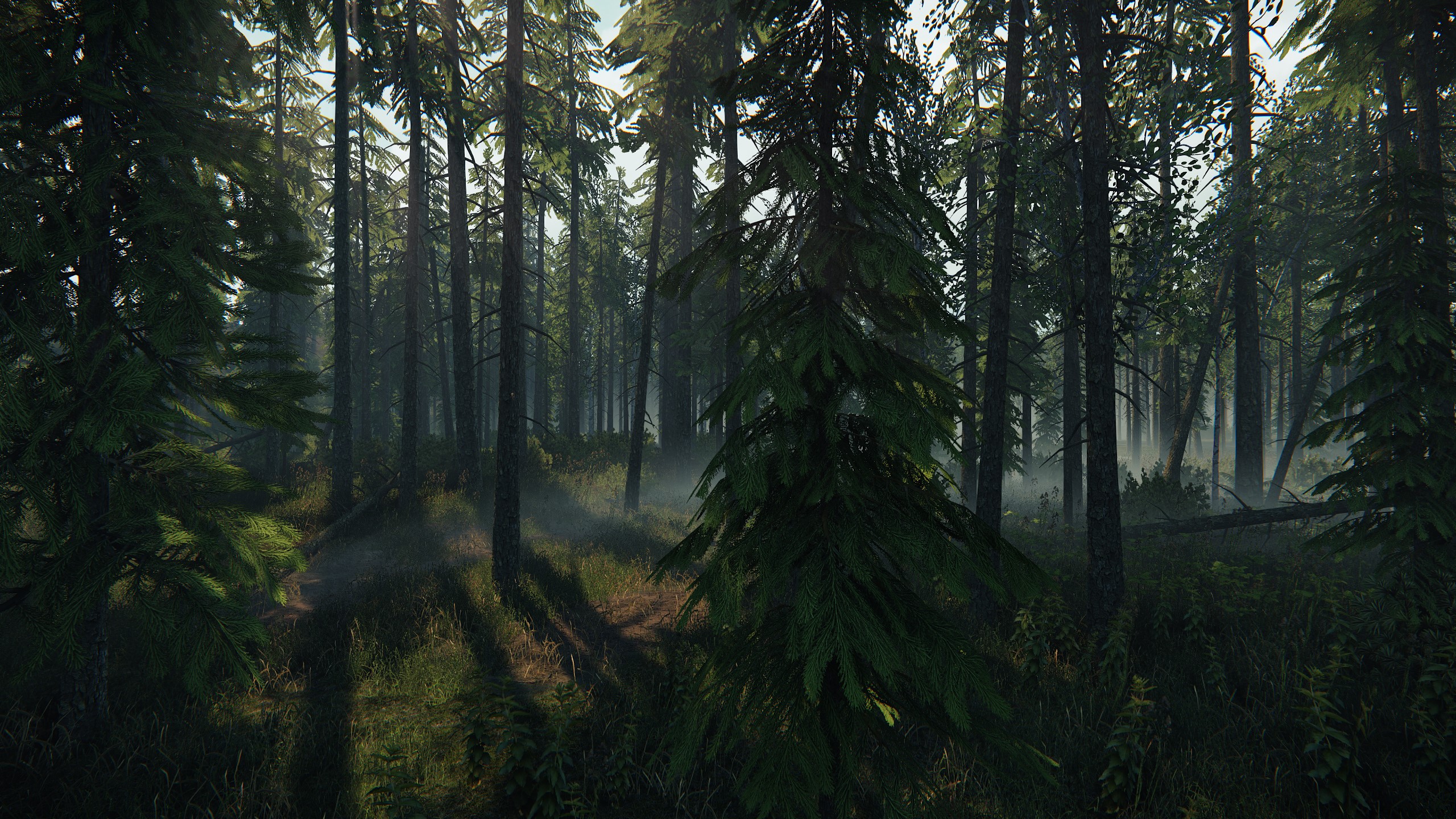 ScreenShot0133.jpg