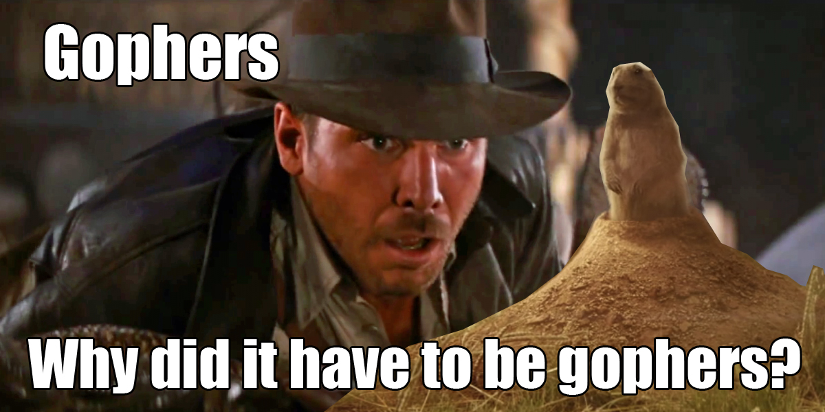 WhyGophers.jpg