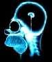 X RAY Homer.jpg