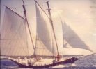 Pinky Schooner Colvin.jpg