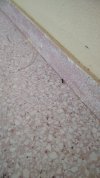 IMG_20200807_190848.jpg