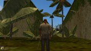 LEAFPALMS.jpg