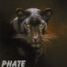 Phate